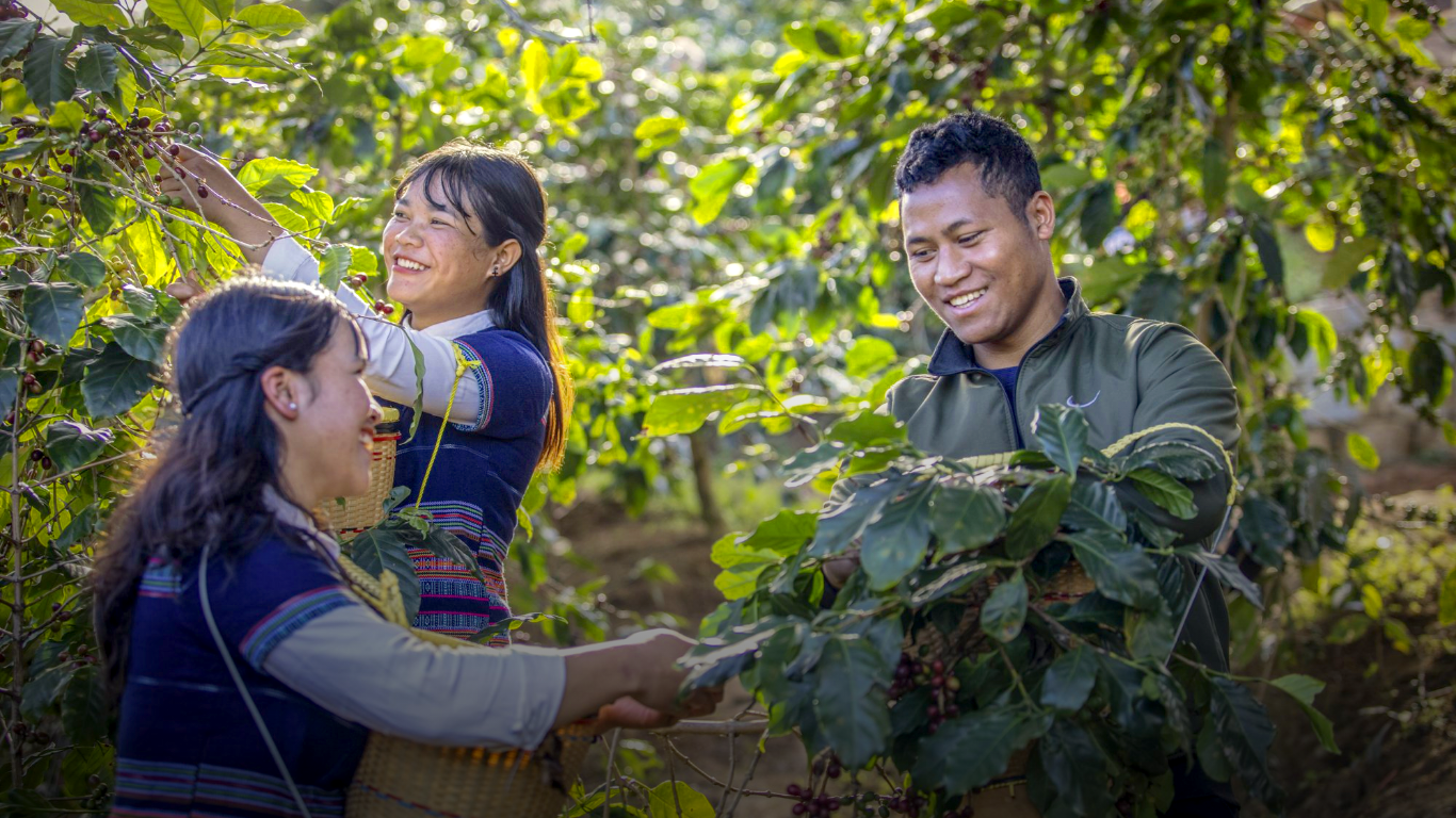 Banner trang điểm bán